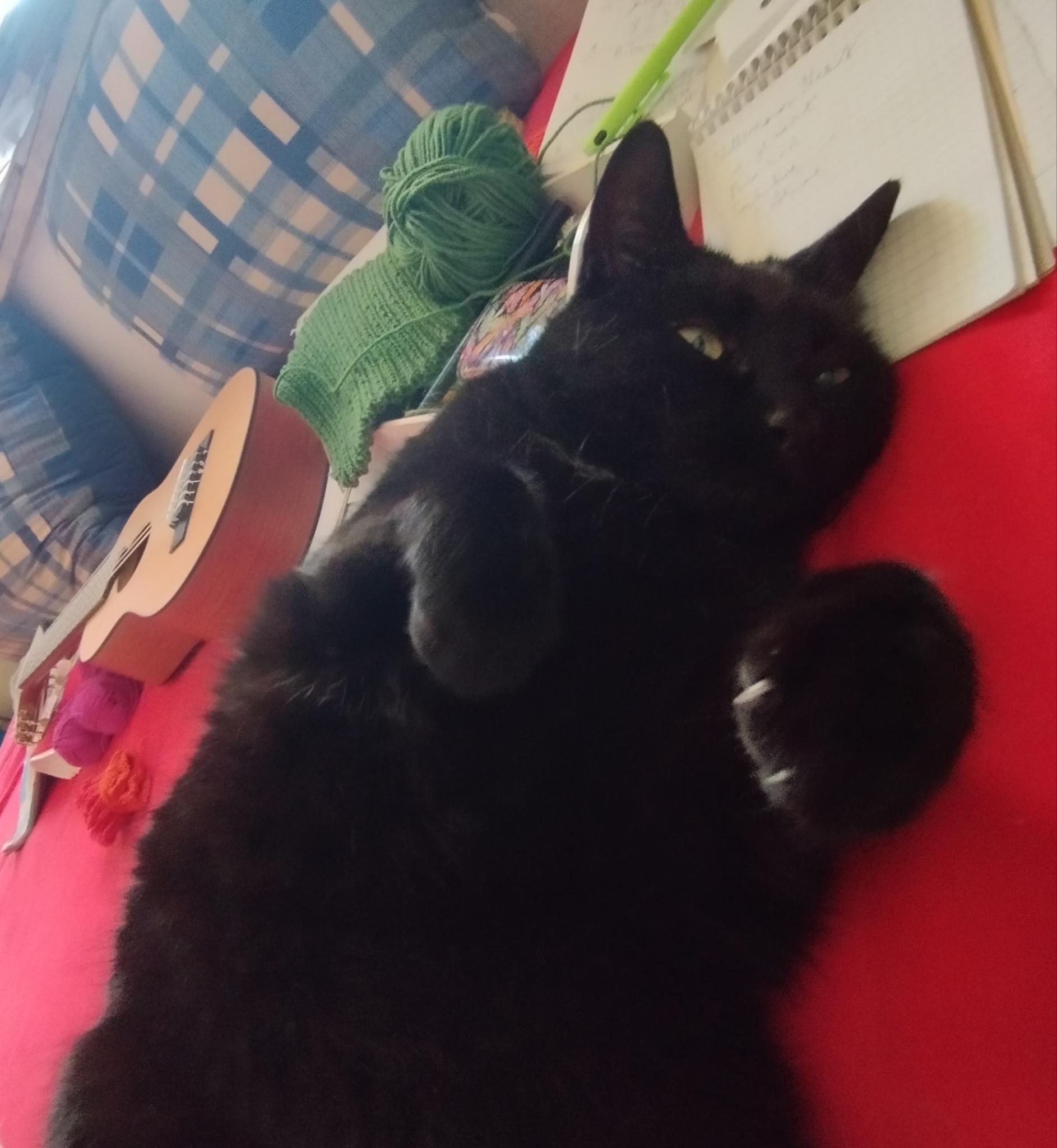 Foto von Maria Roth.