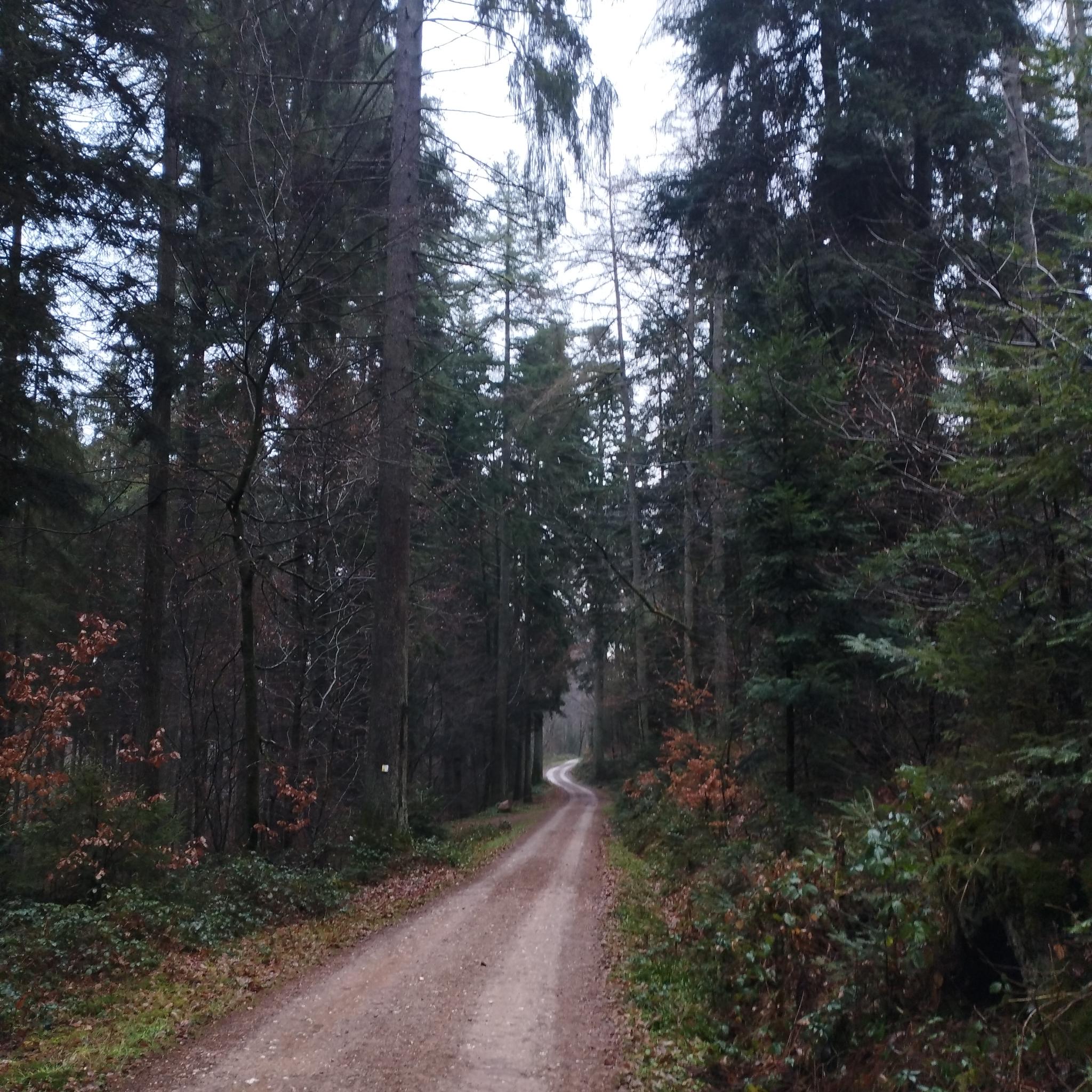 Foto von Maria Roth.